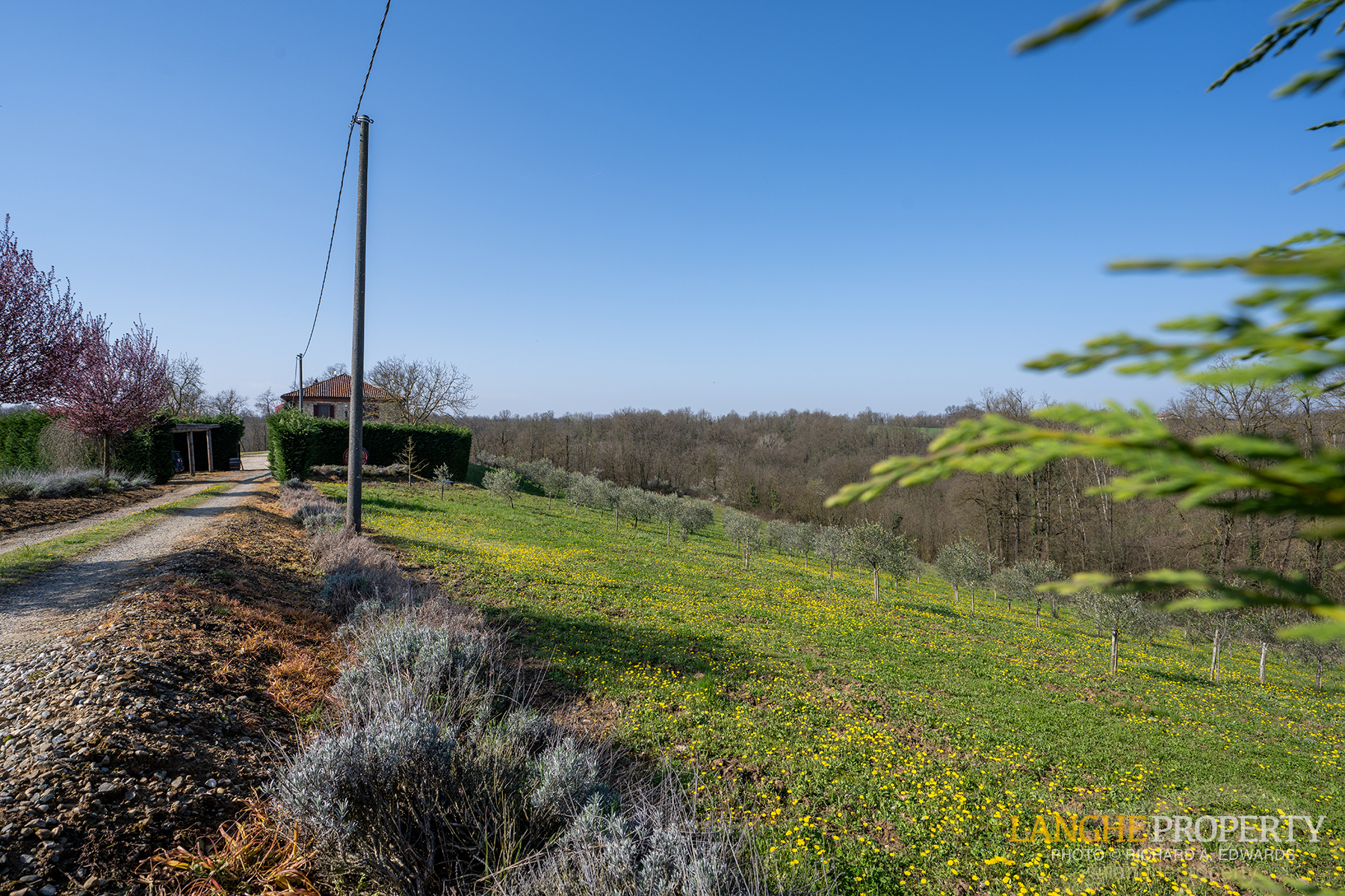 A luxury Italian country home where beauty, comfort, and nature meet