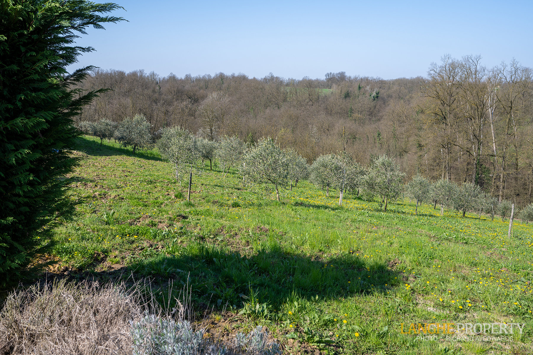A luxury Italian country home where beauty, comfort, and nature meet