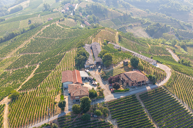 Spettacolare tenuta vinicola vicino a Neive