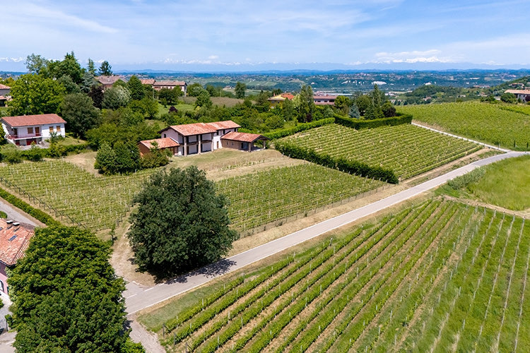 Organic wine estate in the hills of Asti